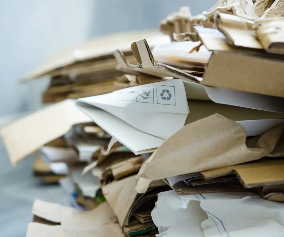 packaging-alimentare-riciclabile-errebi