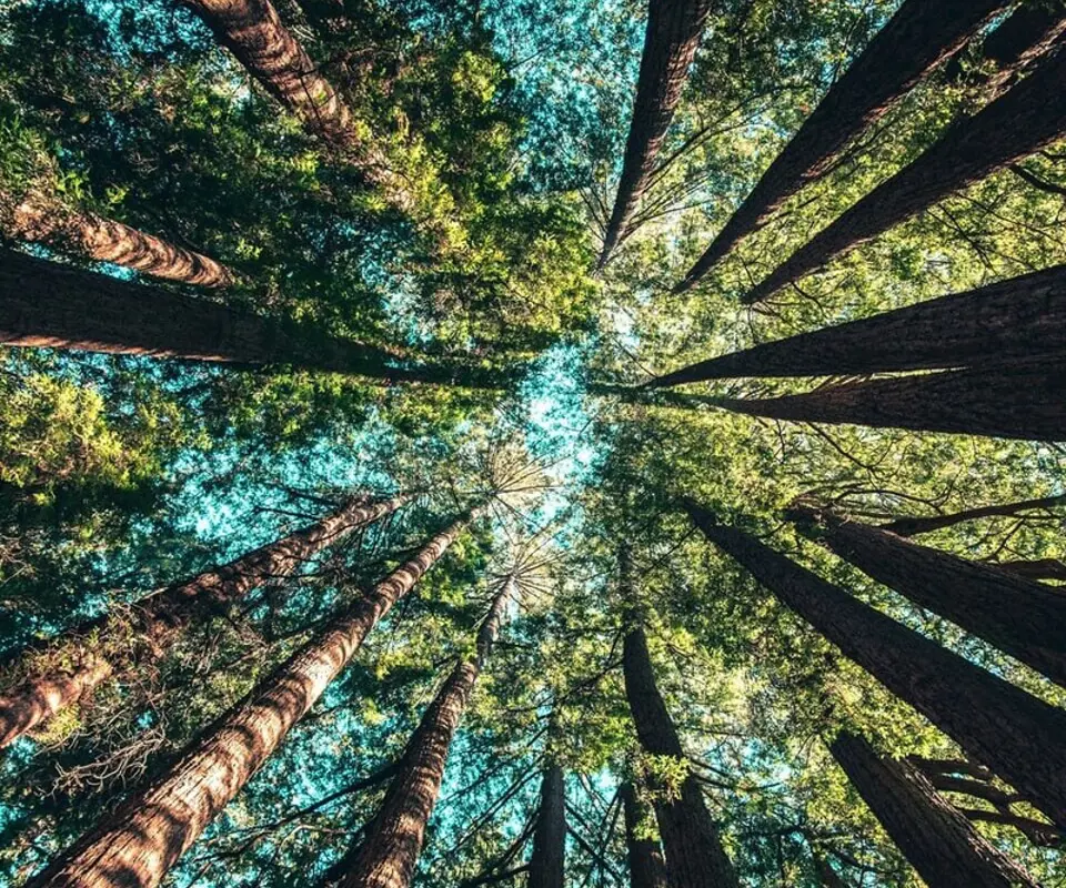 fsc-certified-packaging-rotolificio-bergamasco